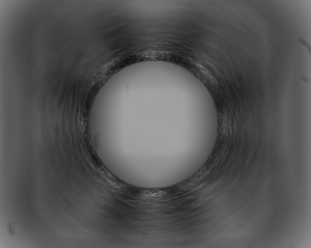 X0000093150569200709261019