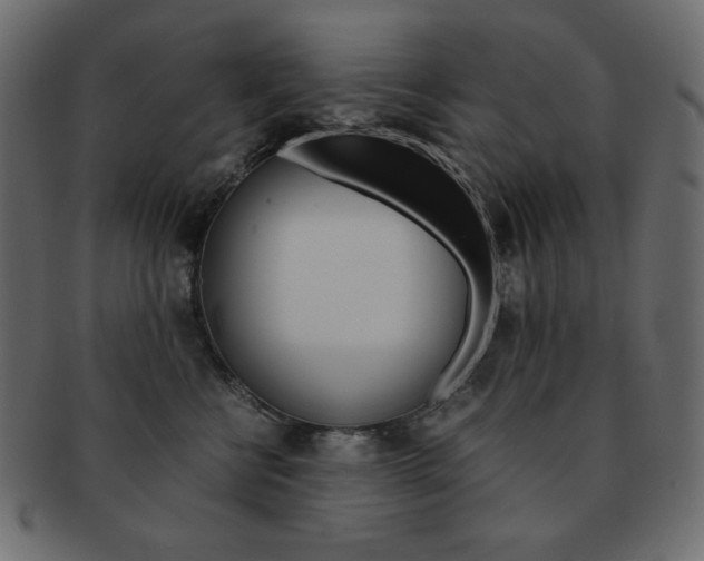 X0000093150570200709261019