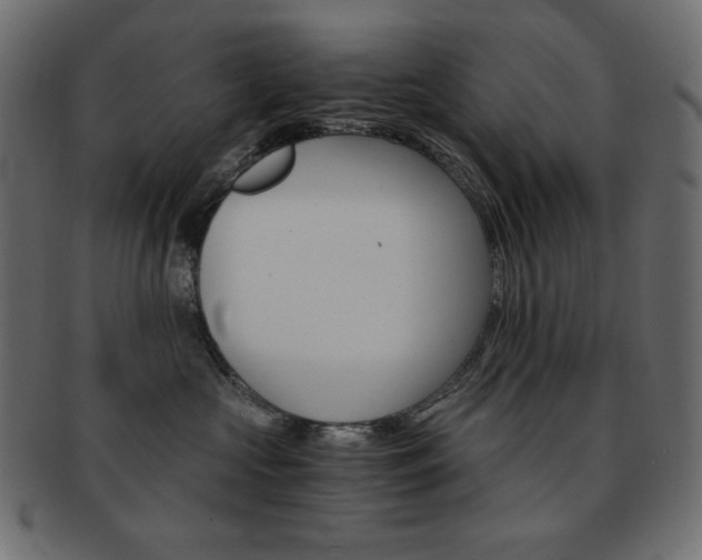 X0000093150573200709261019