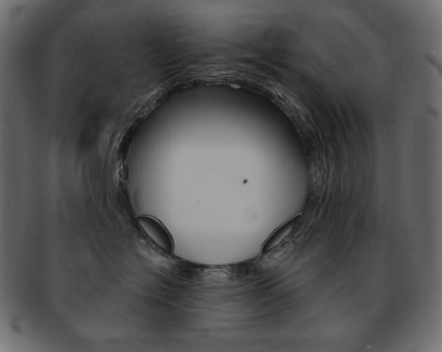 X0000093150574200709261019