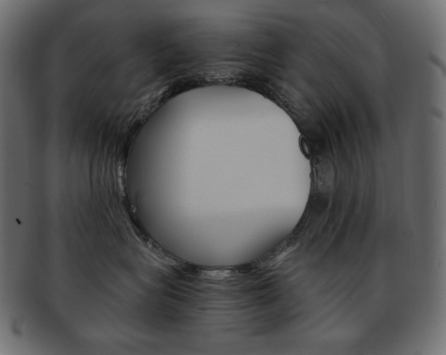 X0000093150575200709261019