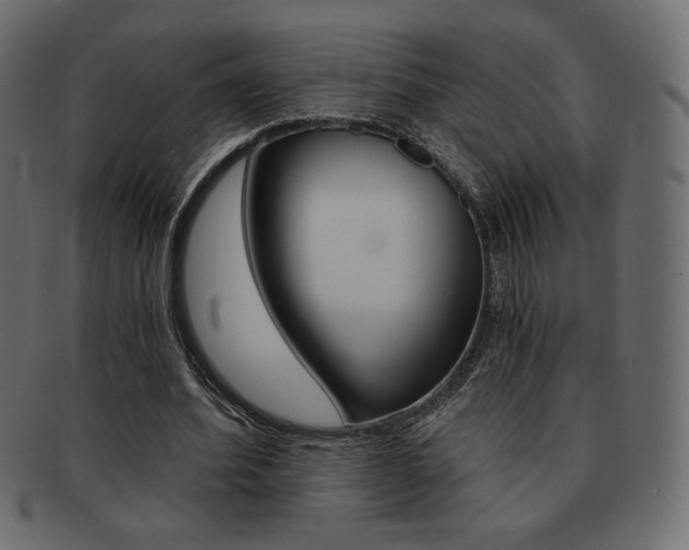X0000093150580200709261018