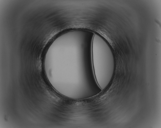 X0000093150584200709261018