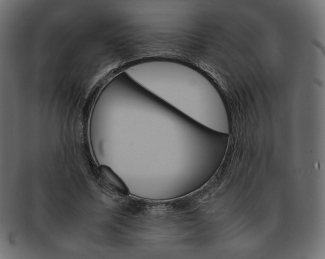 X0000093150587200709261018