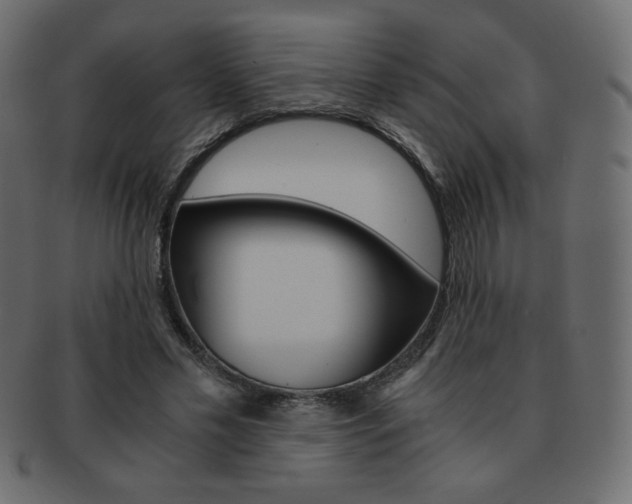 X0000093150589200709261018