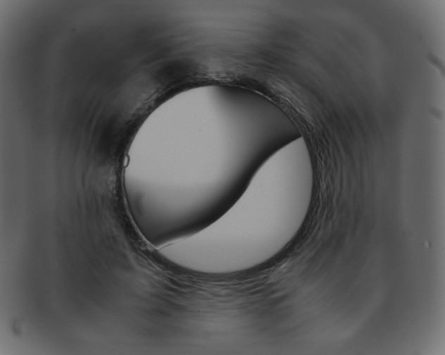 X0000093150595200709261018