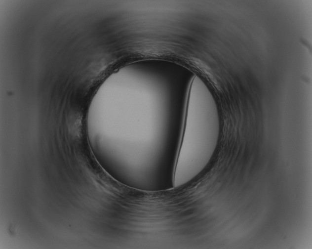 X0000093150596200709261018