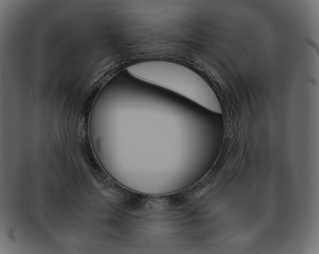 X0000093150599200709261018