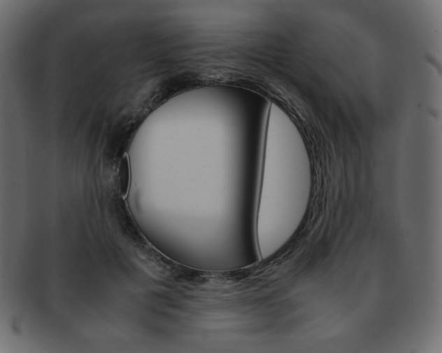 X0000093150601200709261018