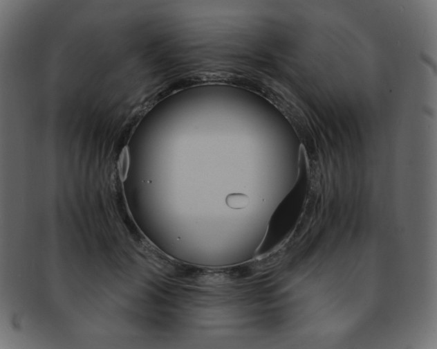 X0000093150604200709261018