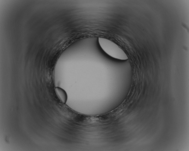 X0000093150607200709261018