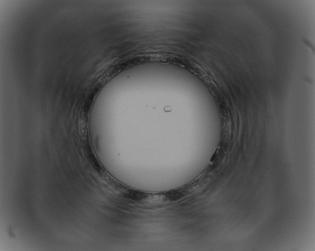 X0000093150609200709261018