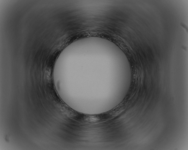 X0000093150610200709261018