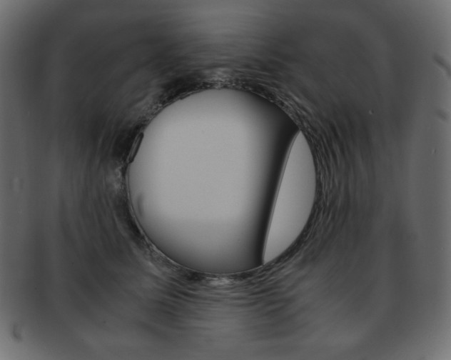 X0000093150611200709261018