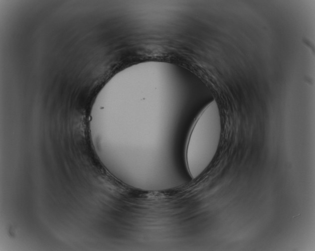 X0000093150612200709261018