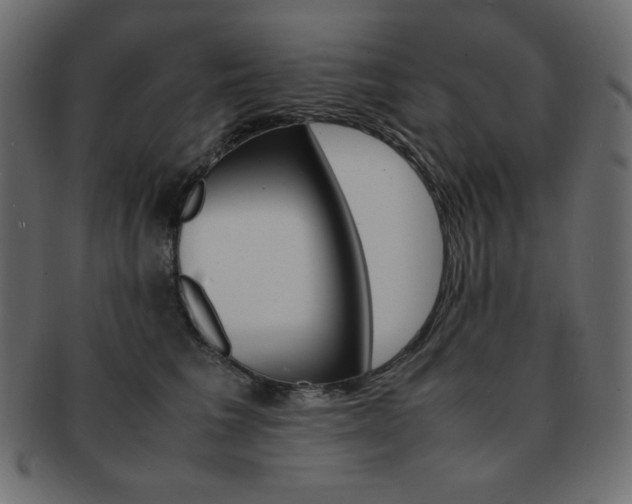 X0000093150613200709261018