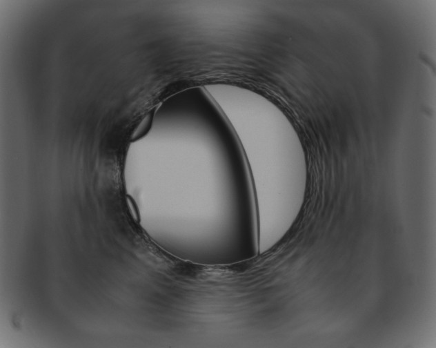 X0000093150617200709261018