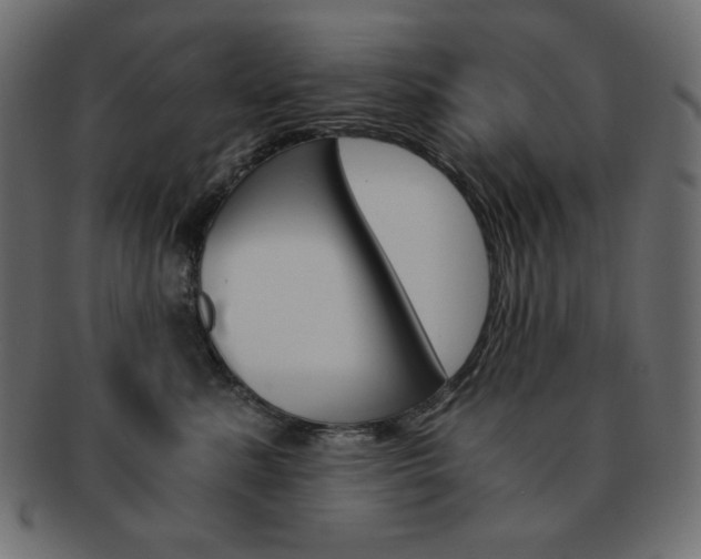 X0000093150619200709261017