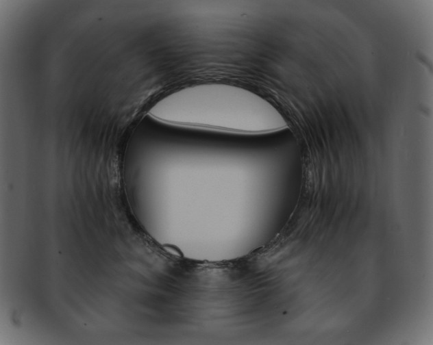 X0000093150620200709261017