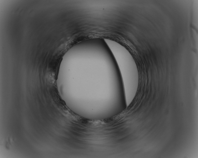 X0000093150621200709261017