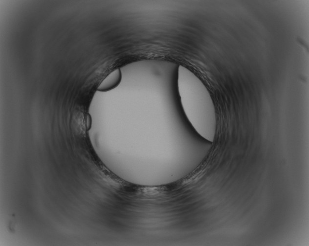 X0000093150622200709261017