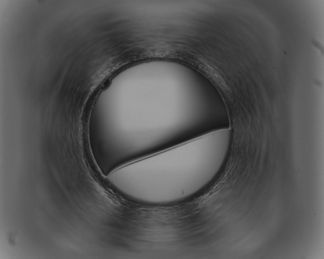 X0000093150626200709261017