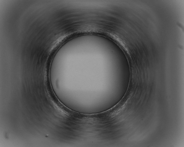 X0000093150629200709261017