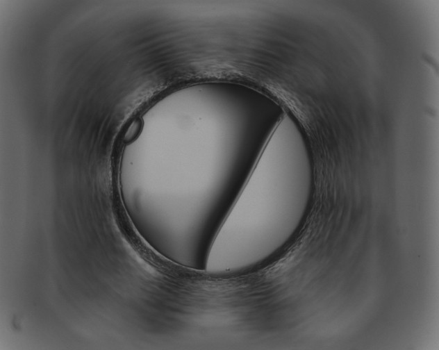 X0000093150630200709261017