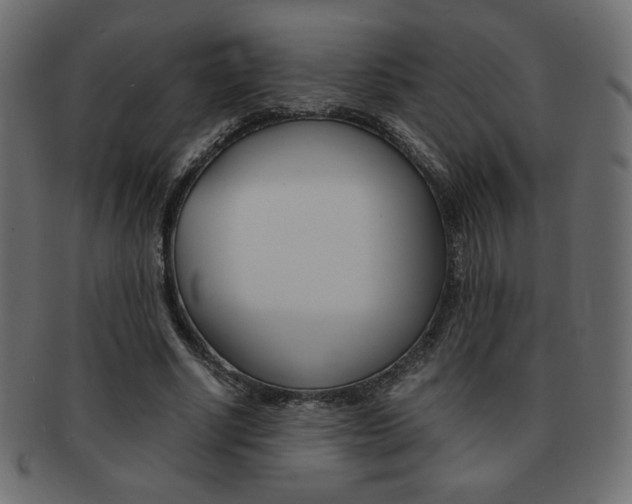 X0000093150634200709261017