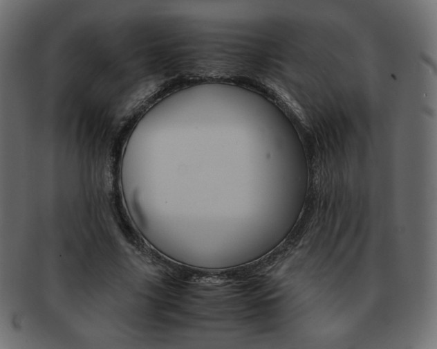 X0000093150635200709261017