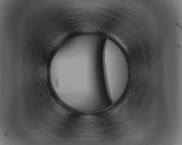 X0000093150637200709261017