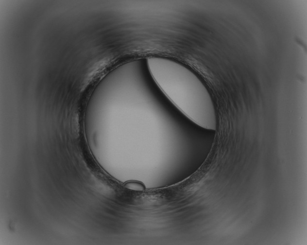 X0000093150638200709261017