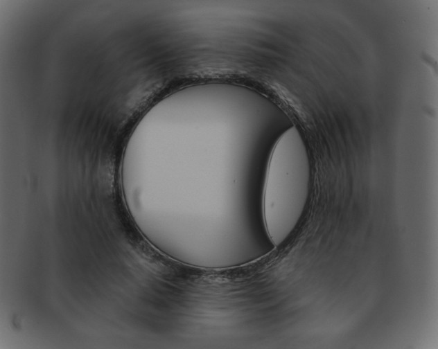 X0000093150640200709261017