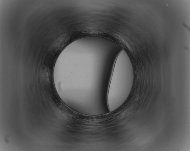 X0000093150643200709261017