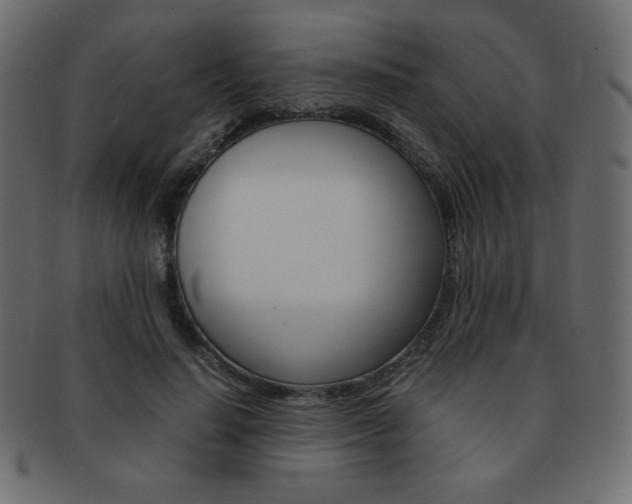 X0000093150644200709261017