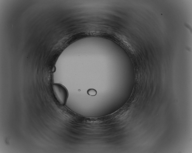 X0000093150645200709261017