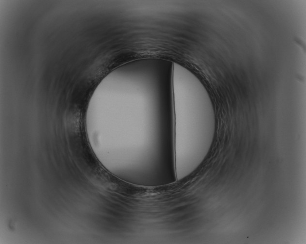 X0000093150647200709261017