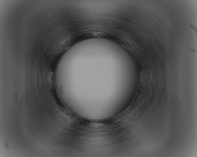 X0000093150650200709261017