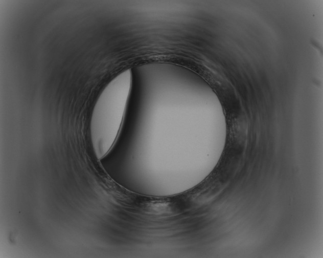 X0000093150651200709261017