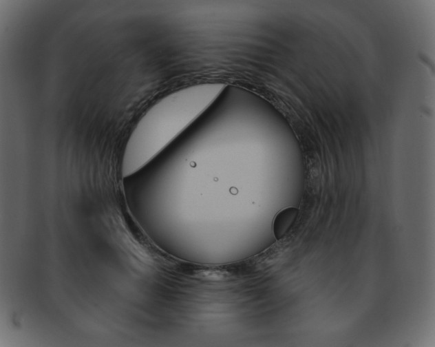 X0000093150654200709261017