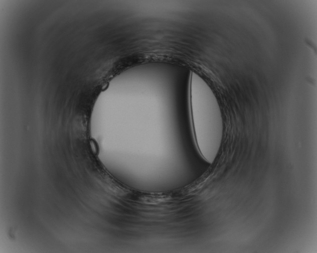 X0000093150661200709261017