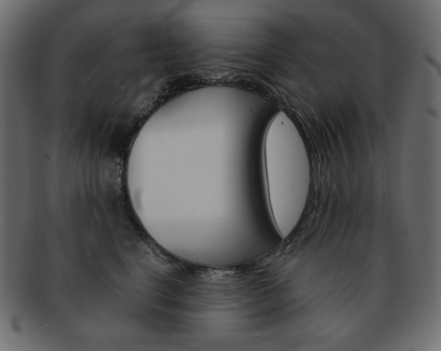 X0000093150664200709261017