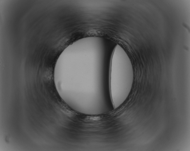 X0000093150665200709261017