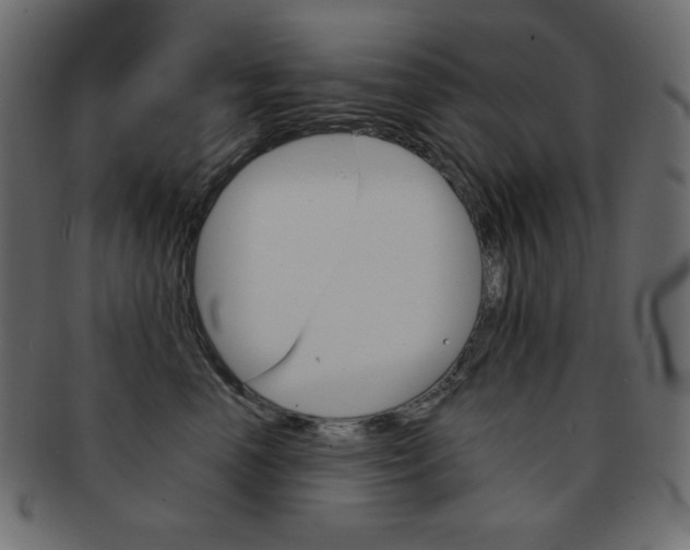 X0000093150666200709261017