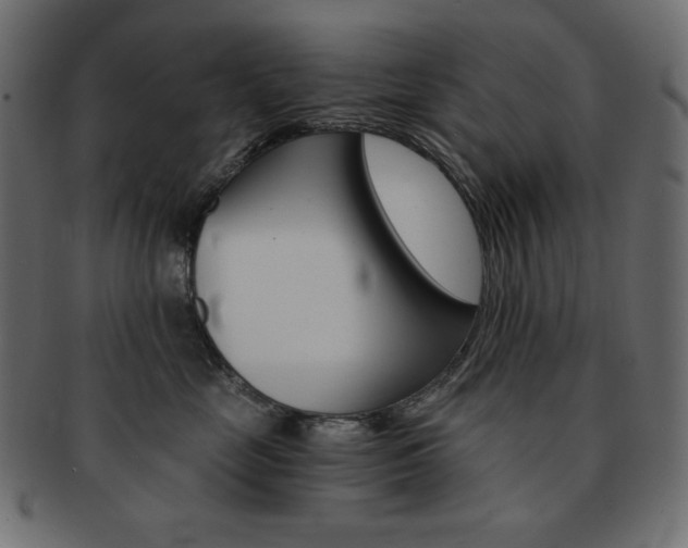 X0000093150669200709261017