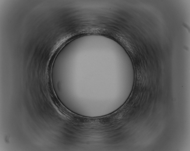X0000093150674200709261017