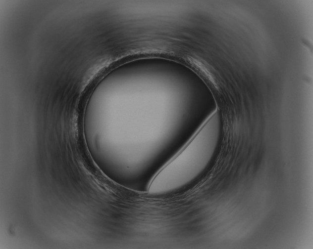 X0000093150676200709261017