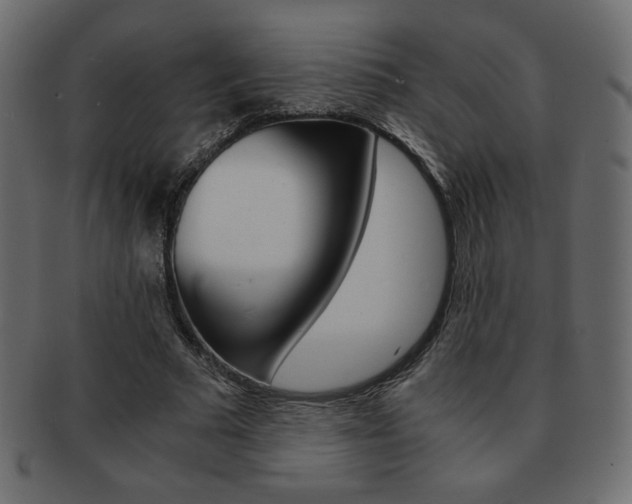 X0000093150681200709261017