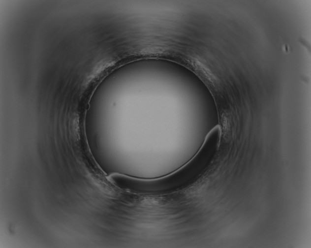X0000093150684200709261017