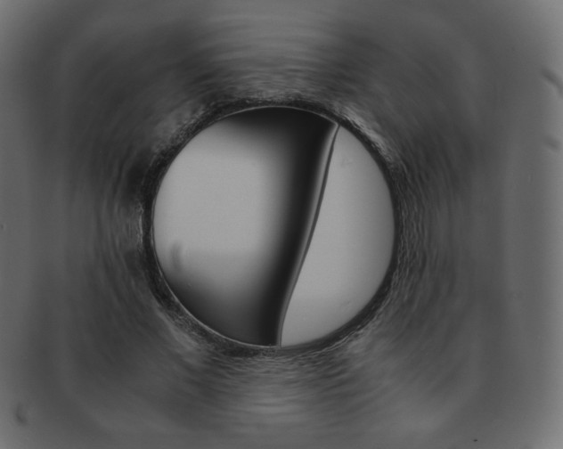 X0000093150685200709261017